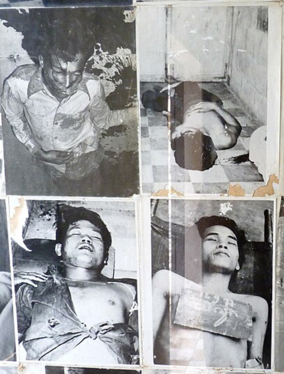Photographies de victimes exposées à Tuol Sleng, ancien centre S-21 à Phnom Penh